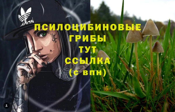 прущая мука Алзамай