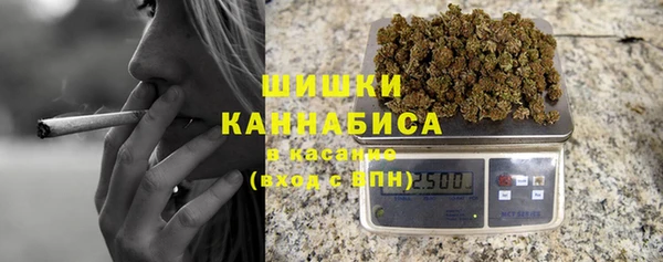 прущие грибы Арсеньев