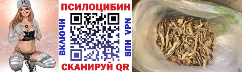 мега ссылки Всеволожск Галлюциногенные грибы Magic Shrooms